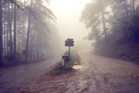 Fog misty autumn photo