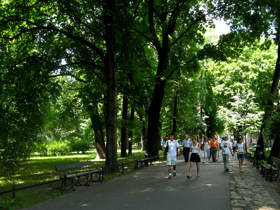 Walking In Krakow - Poland