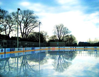 rink of dreams photo