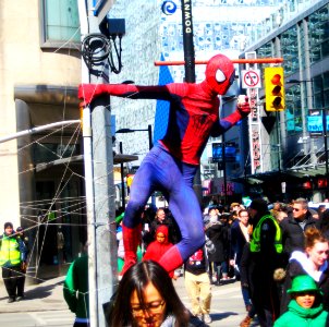 Toronto's spiderman!