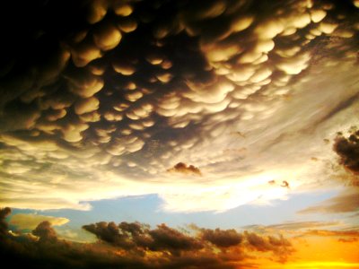 after the storm