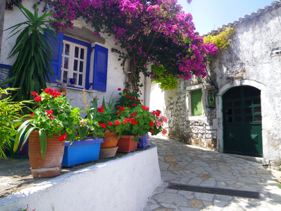 House flowers vacations