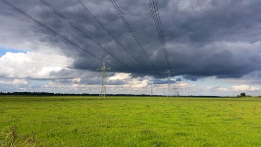 East frisia meadow pasture