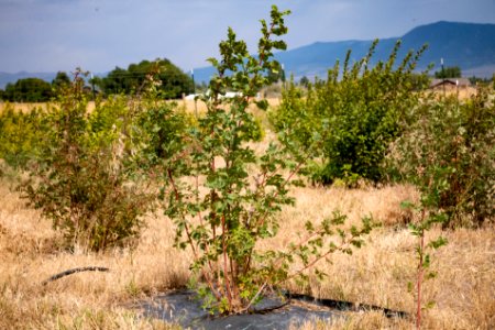 20190829-NRCS-LSC-0414