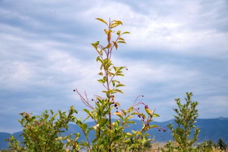 20190829-NRCS-LSC-0363