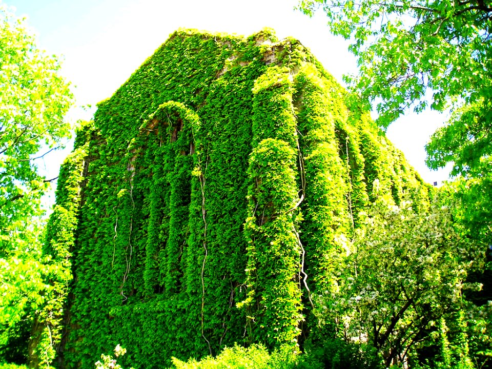toronto-verano