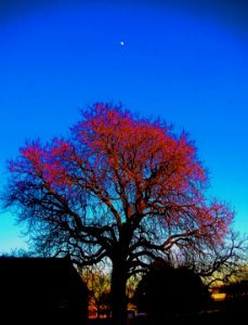 Spring sunset