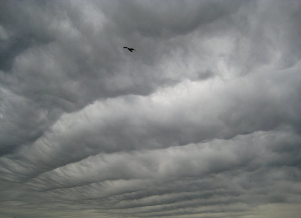 rolling thunder photo