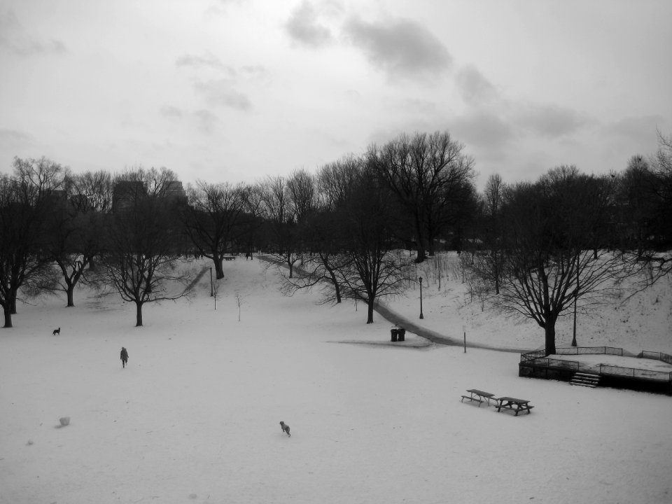 silence & stillness outdoor symphony