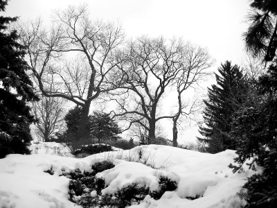 High Park photo