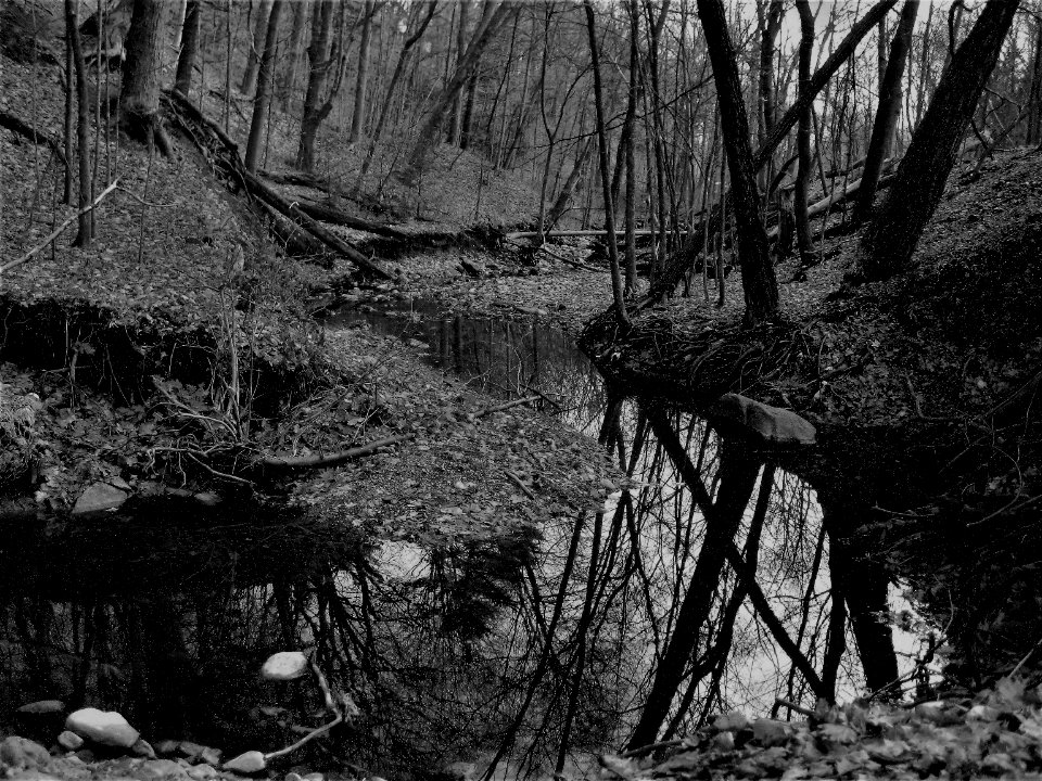 stillness