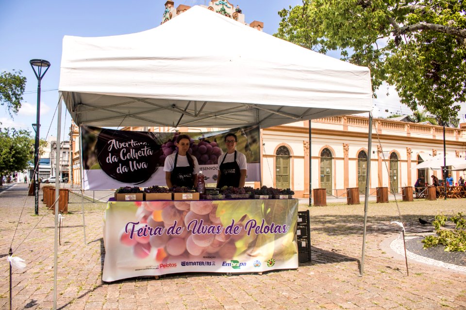 03.02.2020 - Feira de uvas de Pelotas - Foto Michel Corvello