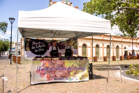 03.02.2020 - Feira de uvas de Pelotas - Foto Michel Corvello