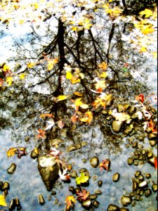 reflections