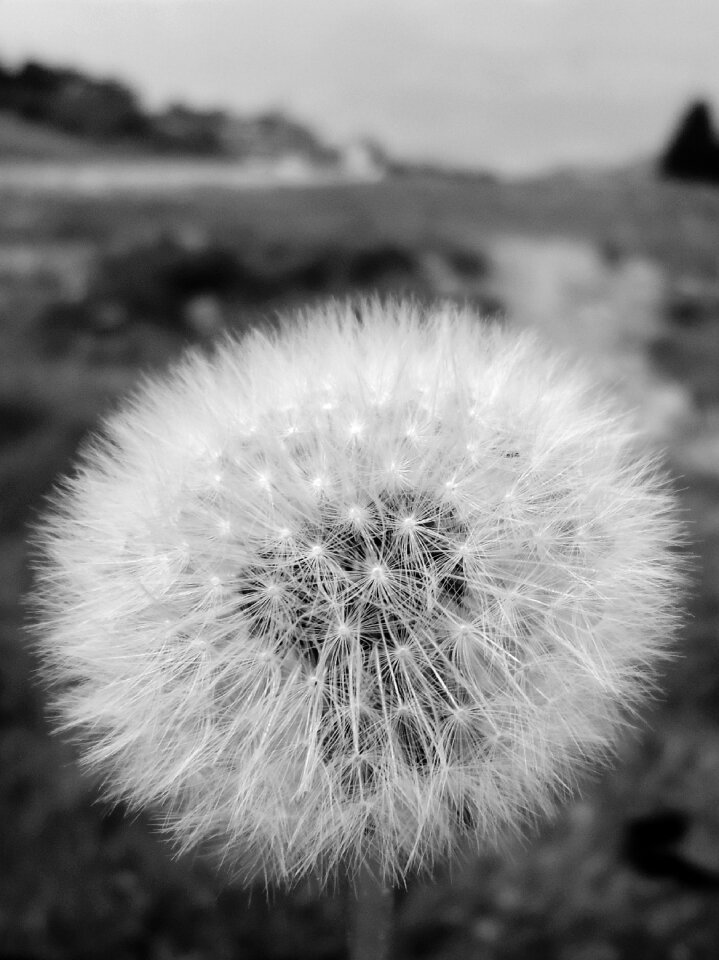 Mountain nature black and white