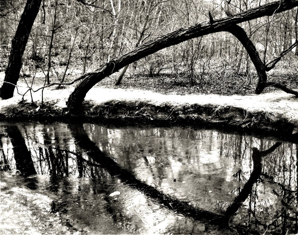 winter heart