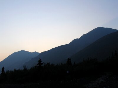 Landscape alaska forest