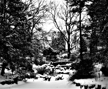 High Park in winter photo