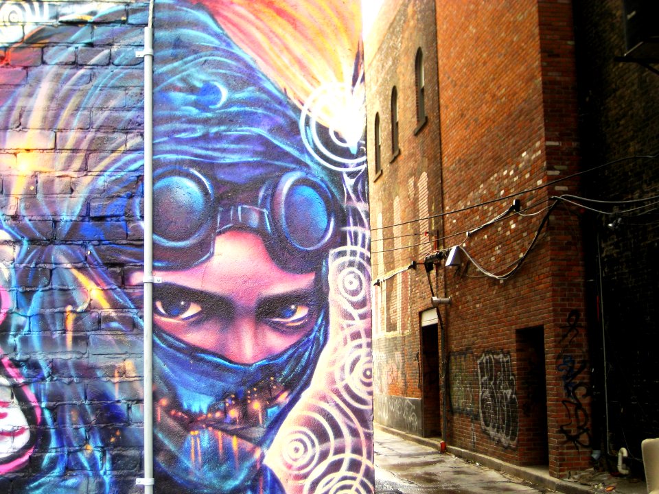 backalley protector