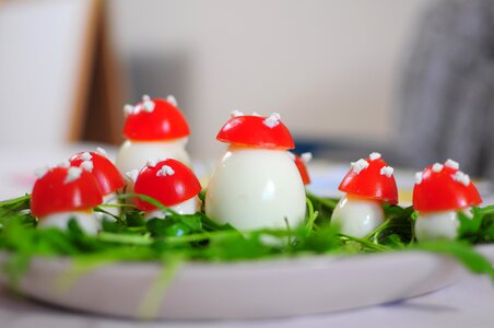 Food dish dish for the kids
