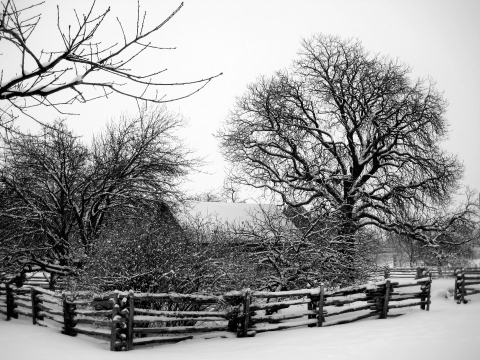 winter lodge with invisible red cardinal