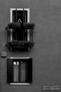 Venice by Arina Ertman.