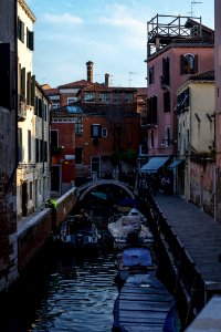Venice by Arina Ertman.