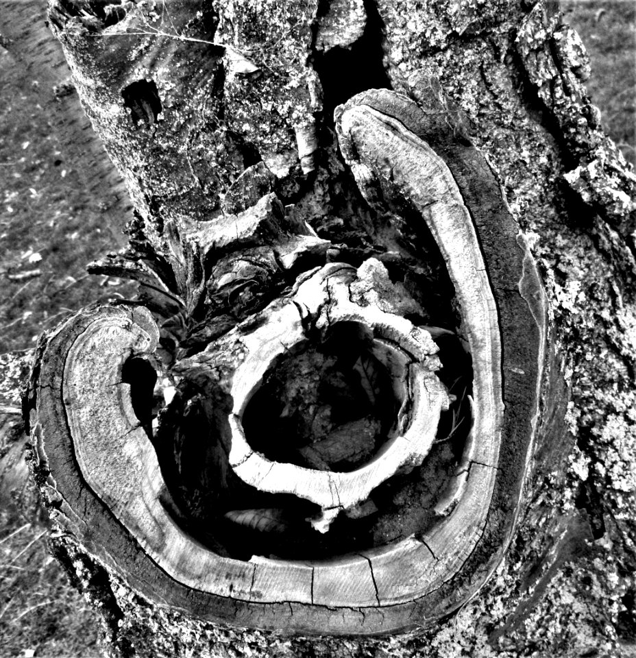 the heart of the matter