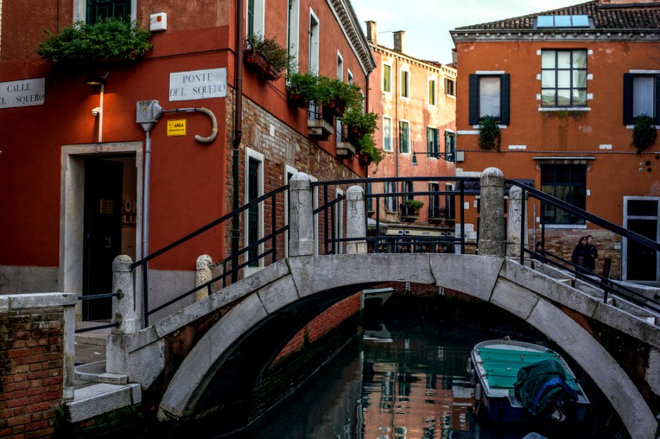 Venice by Arina Ertman.