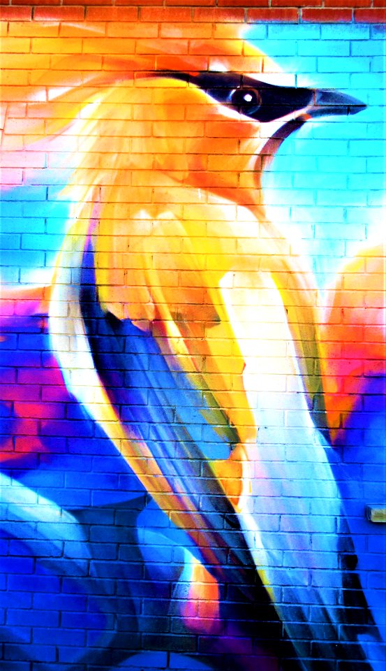urban art -bird