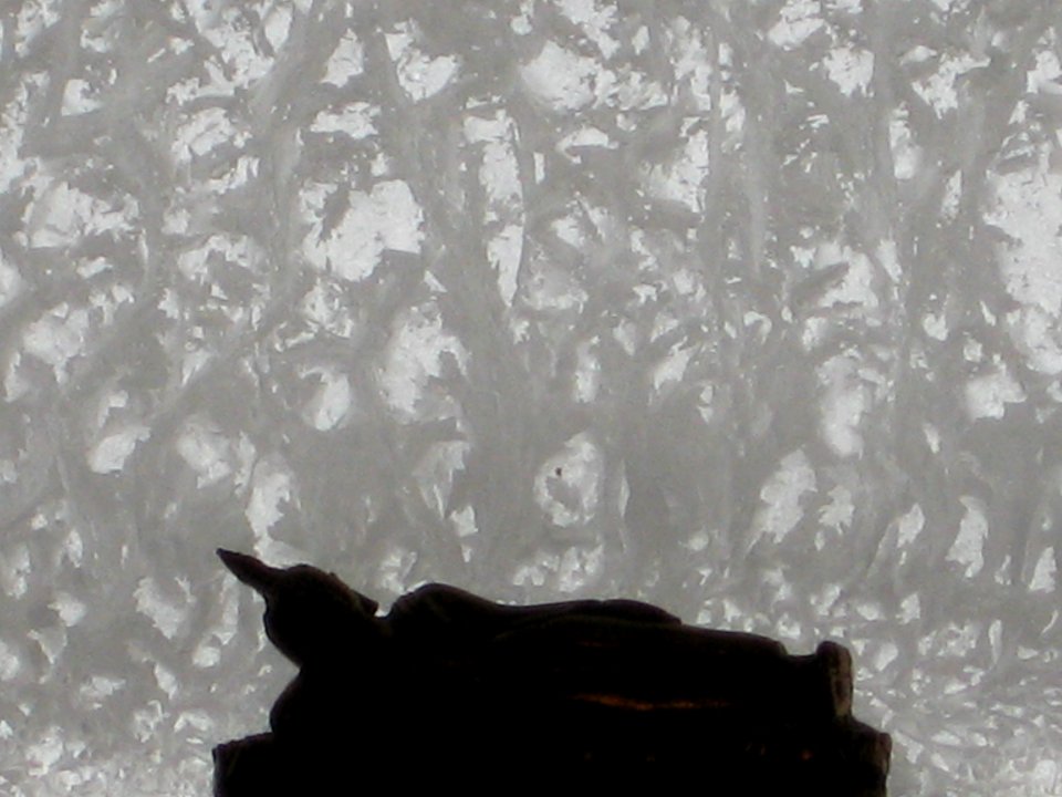 dreaming of impermanence
