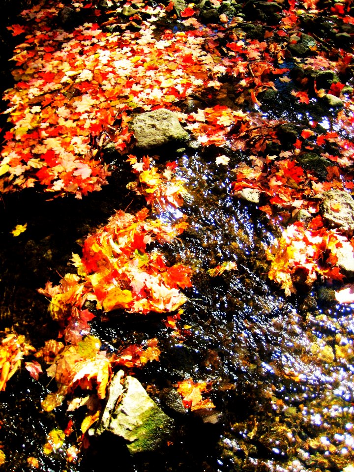 Humber River