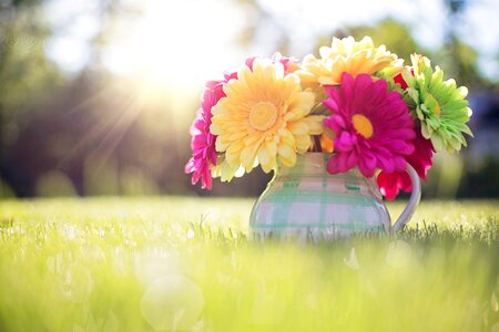 Bouquet spring bright