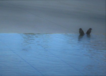two solitudes