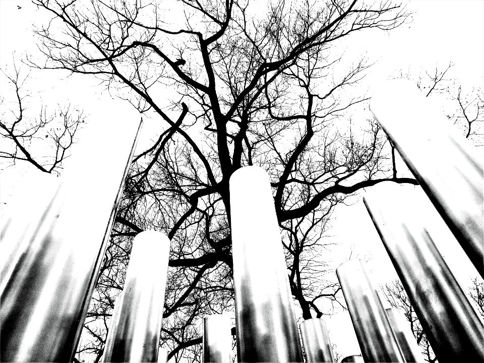 tubular tree (organic)