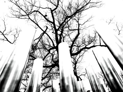 tubular tree (organic)
