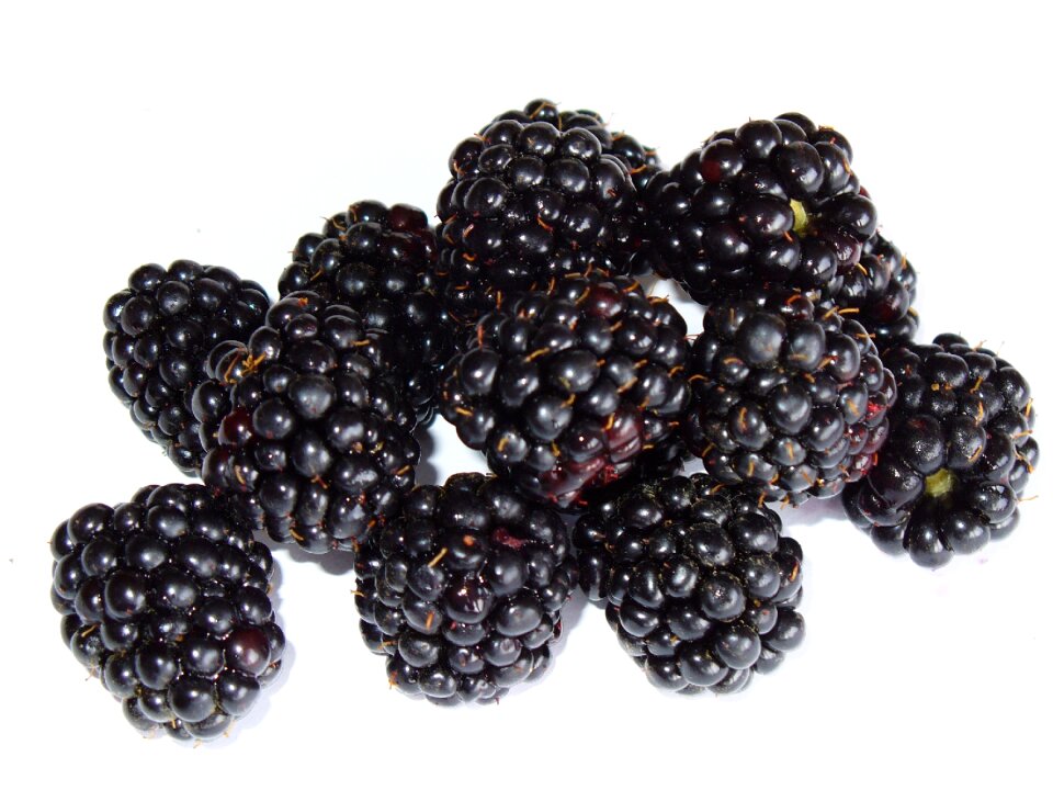 Fruit macro irritably