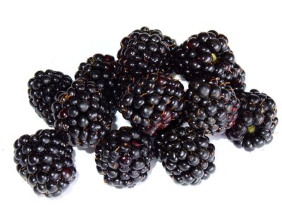 Fruit macro irritably