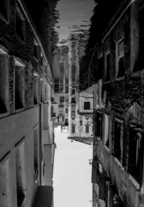Venice by Arina Ertman.
