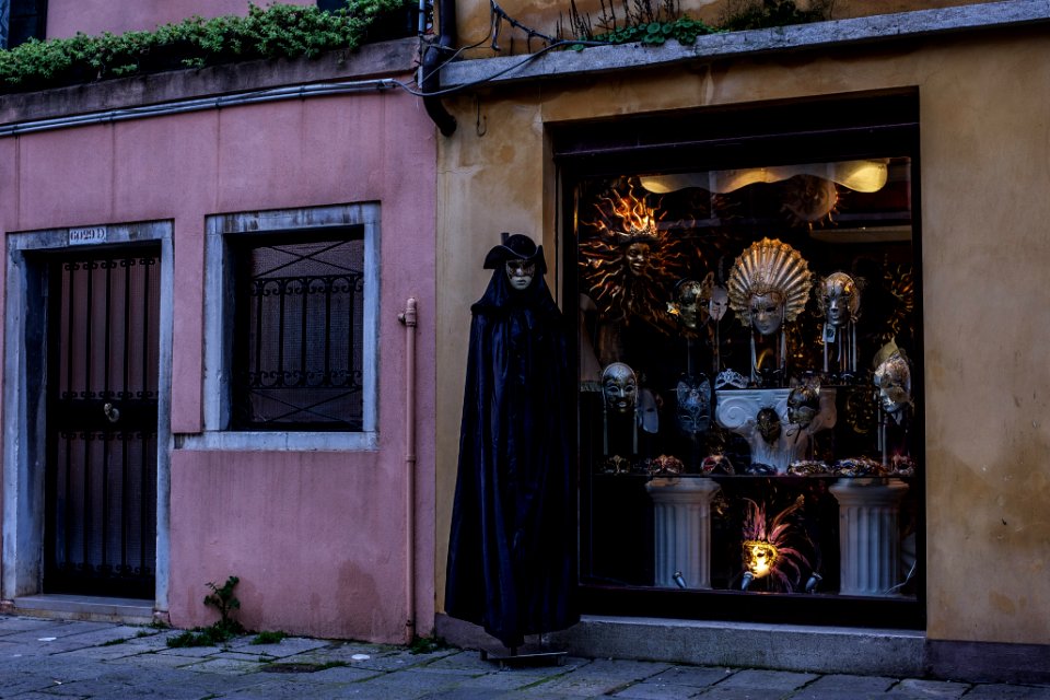 Venice by Arina Ertman.