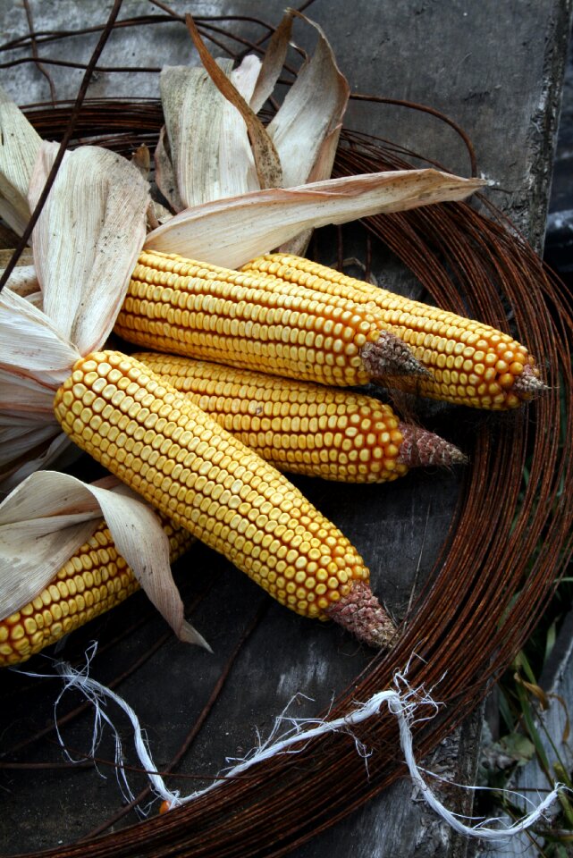 Crop produce rust