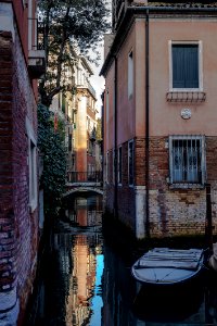Venice by Arina Ertman.