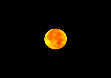 Fall - blue moon 2020 photo