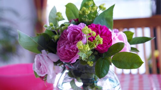 Bloom bouquet of roses pink photo
