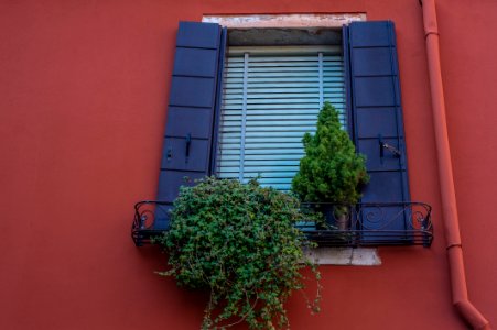 Venice by Arina Ertman.