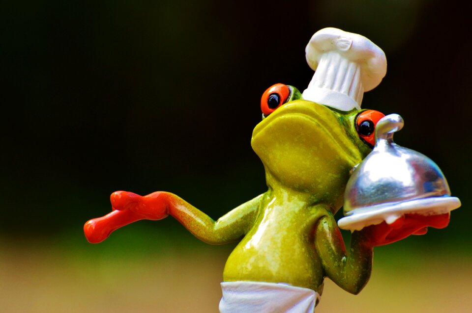 Kitchen gourmet food