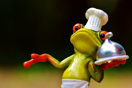 Kitchen gourmet food