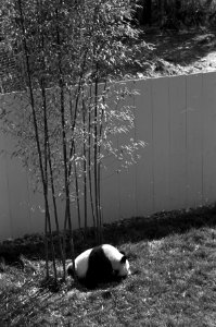20120105-OC-AMW-0087