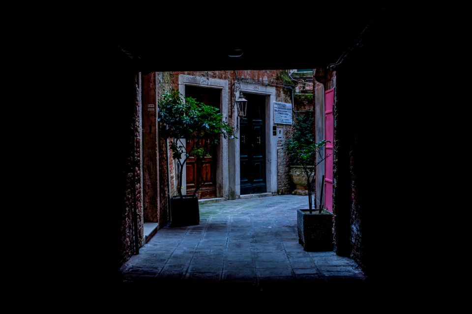 Venice by Arina Ertman.