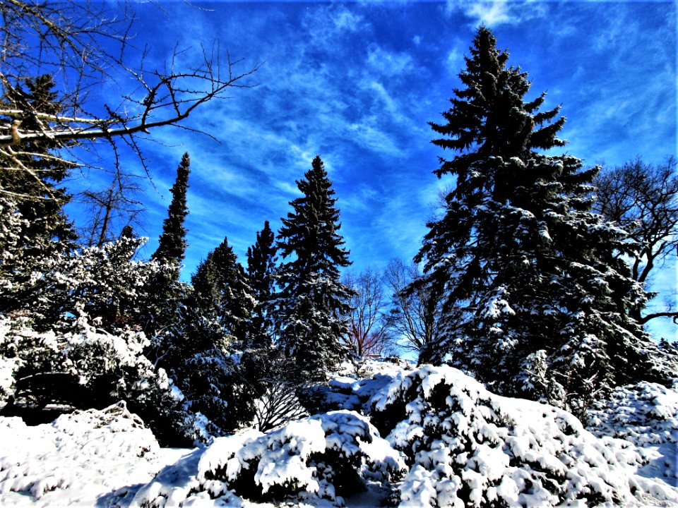 Spring is calling 2